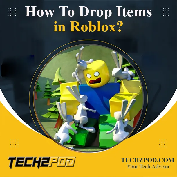 drop items in roblox